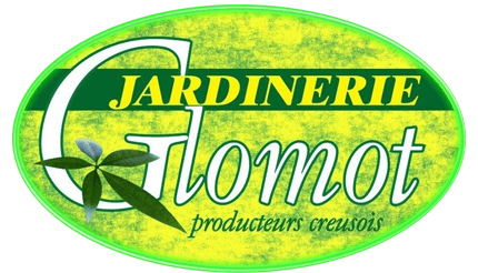 Logo_Glomot